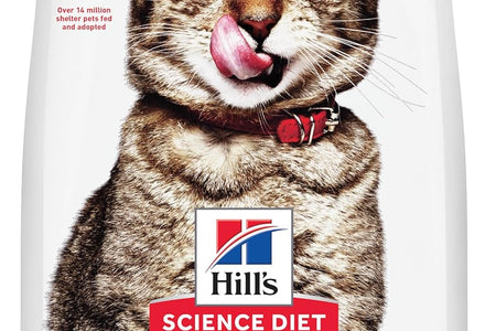 Dry Cat Food, Adult 7+ for Senior Cats, Indoor, Chicken Recipe, 15.5 Lb. Bag