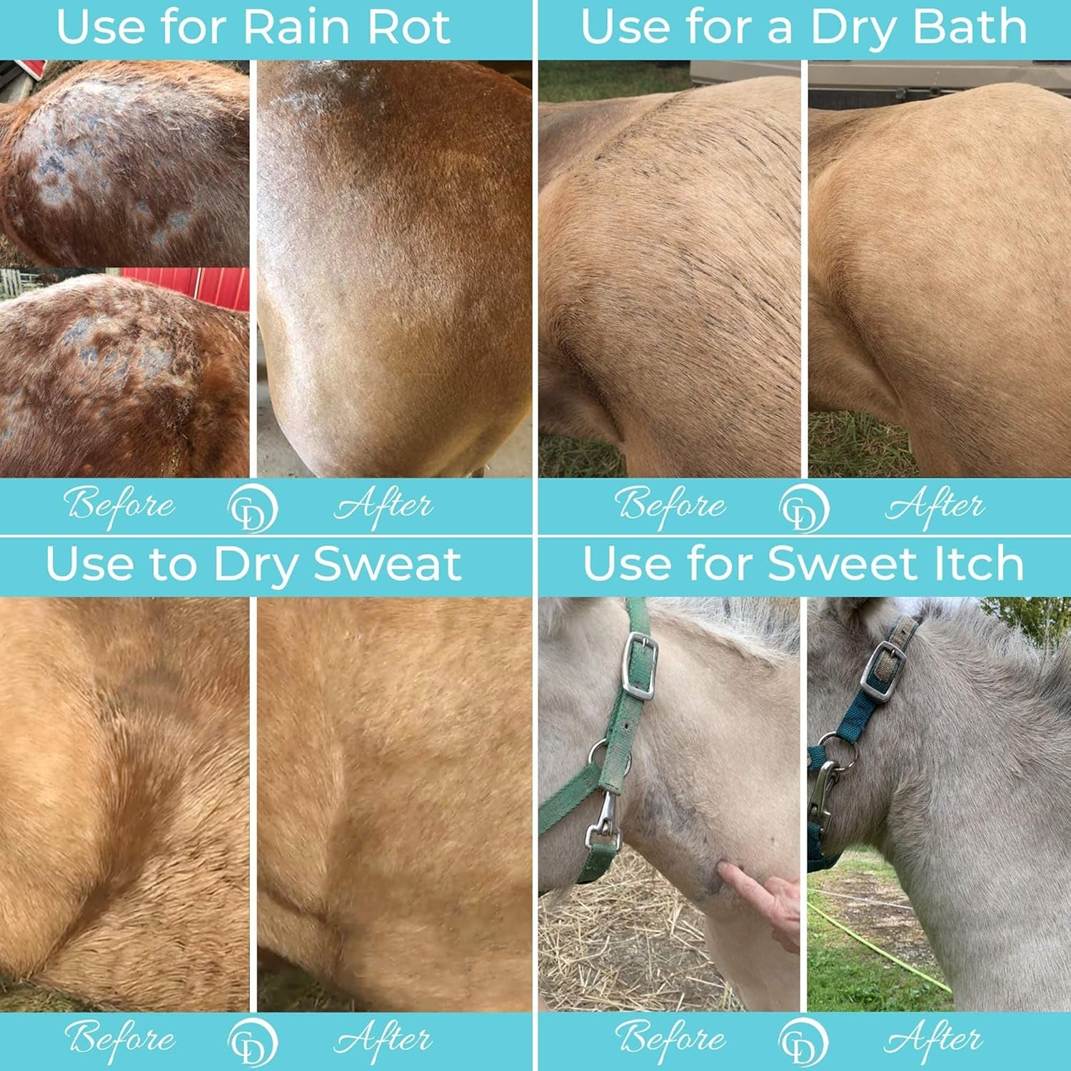 Daily Preventative Powder for Horses - Safe & Effective Equine Skin Conditioner Sweet Itch, Skin Funk, & Rain Rot - Dry Horse Shampoo, 64 Oz Formula with All Natural Ingredients