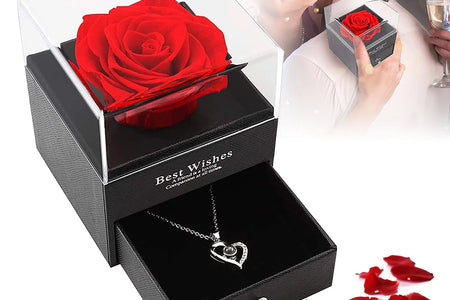 Preserved Red Real Rose with I Love You Necklace in 100 Languages -Eternal Flowers Rose Gifts for Mom Wife Girlfriend Her on Christmas Valentines Day Mothers Day Anniversary Birthday Gifts for Women