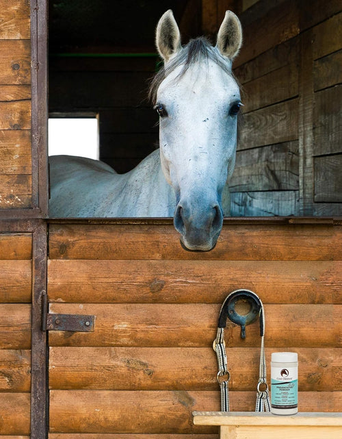 Load image into Gallery viewer, Daily Preventative Powder for Horses - Safe &amp; Effective Equine Skin Conditioner Sweet Itch, Skin Funk, &amp; Rain Rot - Dry Horse Shampoo, 64 Oz Formula with All Natural Ingredients
