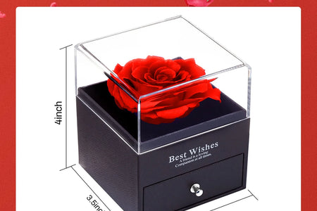 Preserved Red Real Rose with I Love You Necklace in 100 Languages -Eternal Flowers Rose Gifts for Mom Wife Girlfriend Her on Christmas Valentines Day Mothers Day Anniversary Birthday Gifts for Women