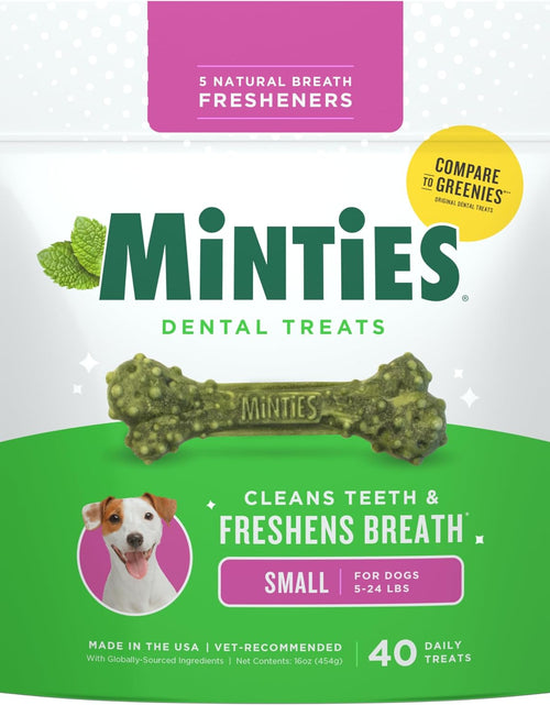 Load image into Gallery viewer, Vetiq Dog Dental Bone Treats, Dental Chews for Dogs, (Perfect for Tiny/Small Dogs under 40 Lbs)
