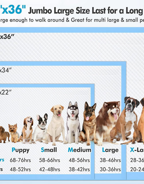 Load image into Gallery viewer, 4XL 36"X36" Thicken Heavy Absorbent Dog Pads 100 Pack - Jumbo Disposable Wee Wee Pads Quick Dry Leakproof Pee Pads for Dogs, Cats, Rabbits Pets
