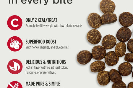 Freestyle Trainers Dog Treats: Grain Free Dog Training Treats - Healthy Low Calorie Treat Reward for Adult and Puppy Dogs - Gluten Free Dog Treat for Any Size or Breed - Duck Recipe - 4 Oz Bag