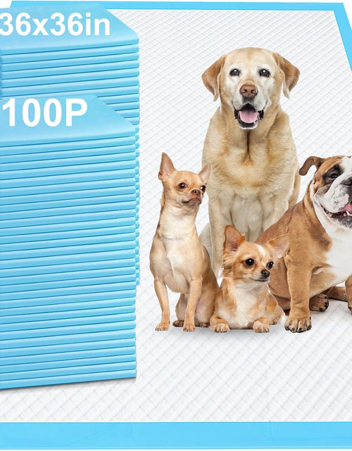 Load image into Gallery viewer, 4XL 36"X36" Thicken Heavy Absorbent Dog Pads 100 Pack - Jumbo Disposable Wee Wee Pads Quick Dry Leakproof Pee Pads for Dogs, Cats, Rabbits Pets
