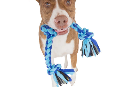Flossy Chews Cloth 4 Knot Tug Rope Dog Toy, Large, 27", Assorted Colors