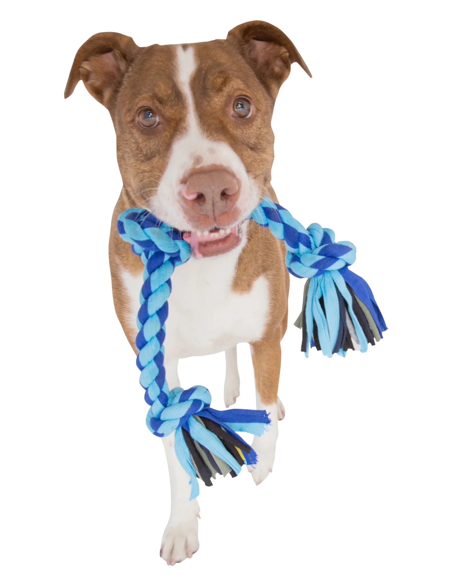 Flossy Chews Cloth 4 Knot Tug Rope Dog Toy, Large, 27", Assorted Colors