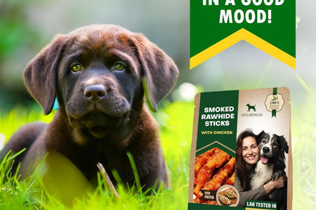 Golosinas Para Perros Palitos De Cuero Crudo Envueltos Con Pollo 11 Oz Golosinas Masticables Naturales Para Mascotas - Carne Sin Granos Y Snacks Secos De Grado Humano - Mejores Para Perros Pequeños Y Grandes (10.6 Oz (Paquete De 1), Pollo Ahumado)
