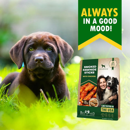 Golosinas Para Perros Palitos De Cuero Crudo Envueltos Con Pollo 11 Oz Golosinas Masticables Naturales Para Mascotas - Carne Sin Granos Y Snacks Secos De Grado Humano - Mejores Para Perros Pequeños Y Grandes (10.6 Oz (Paquete De 1), Pollo Ahumado)