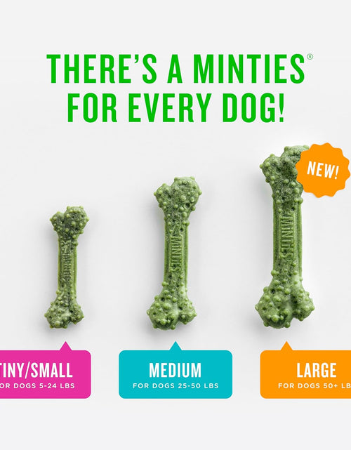 Load image into Gallery viewer, Vetiq Dog Dental Bone Treats, Dental Chews for Dogs, (Perfect for Tiny/Small Dogs under 40 Lbs)
